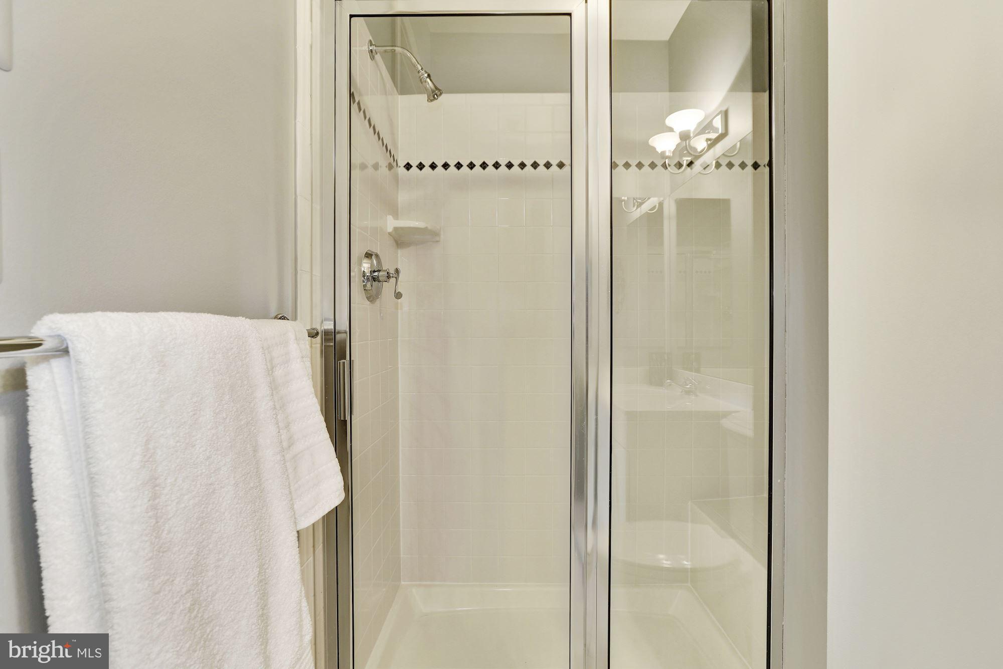 3617 Black Walnut Lane Glenwood, MD 21738 - Photo 41 of 83 Walk-in Shower
