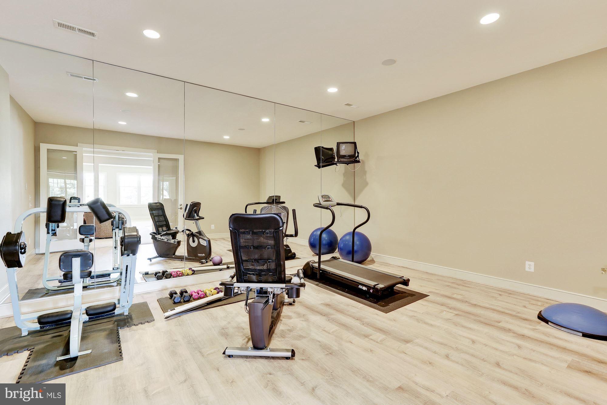 3617 Black Walnut Lane Glenwood, MD 21738 - Photo 42 of 83 Exercise Rm, Composite Floor & Mirrored Wall