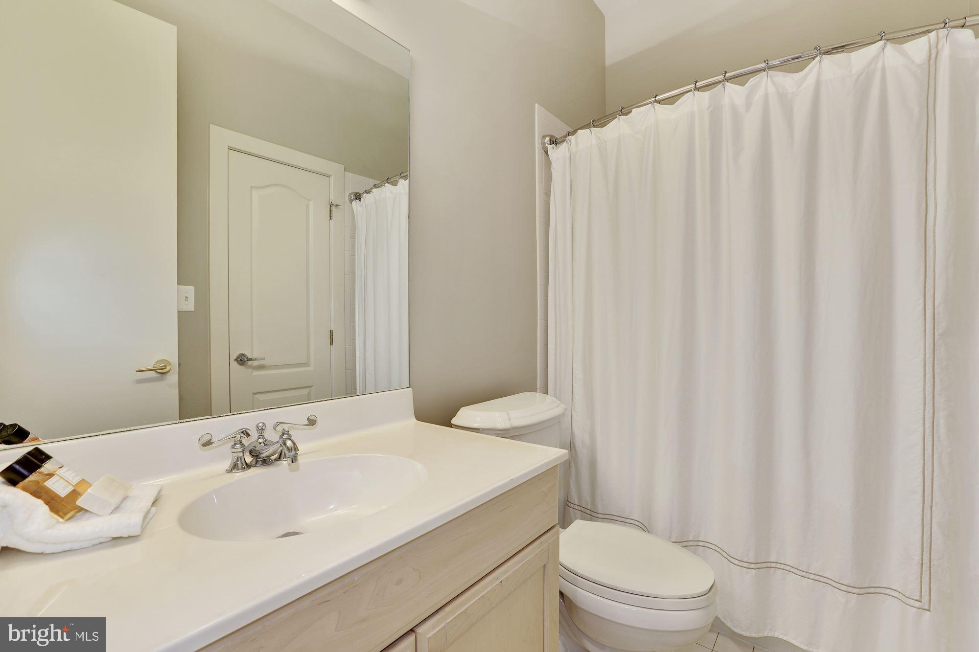 3617 Black Walnut Lane Glenwood, MD 21738 - Photo 45 of 83 Private En-suite Full Bath