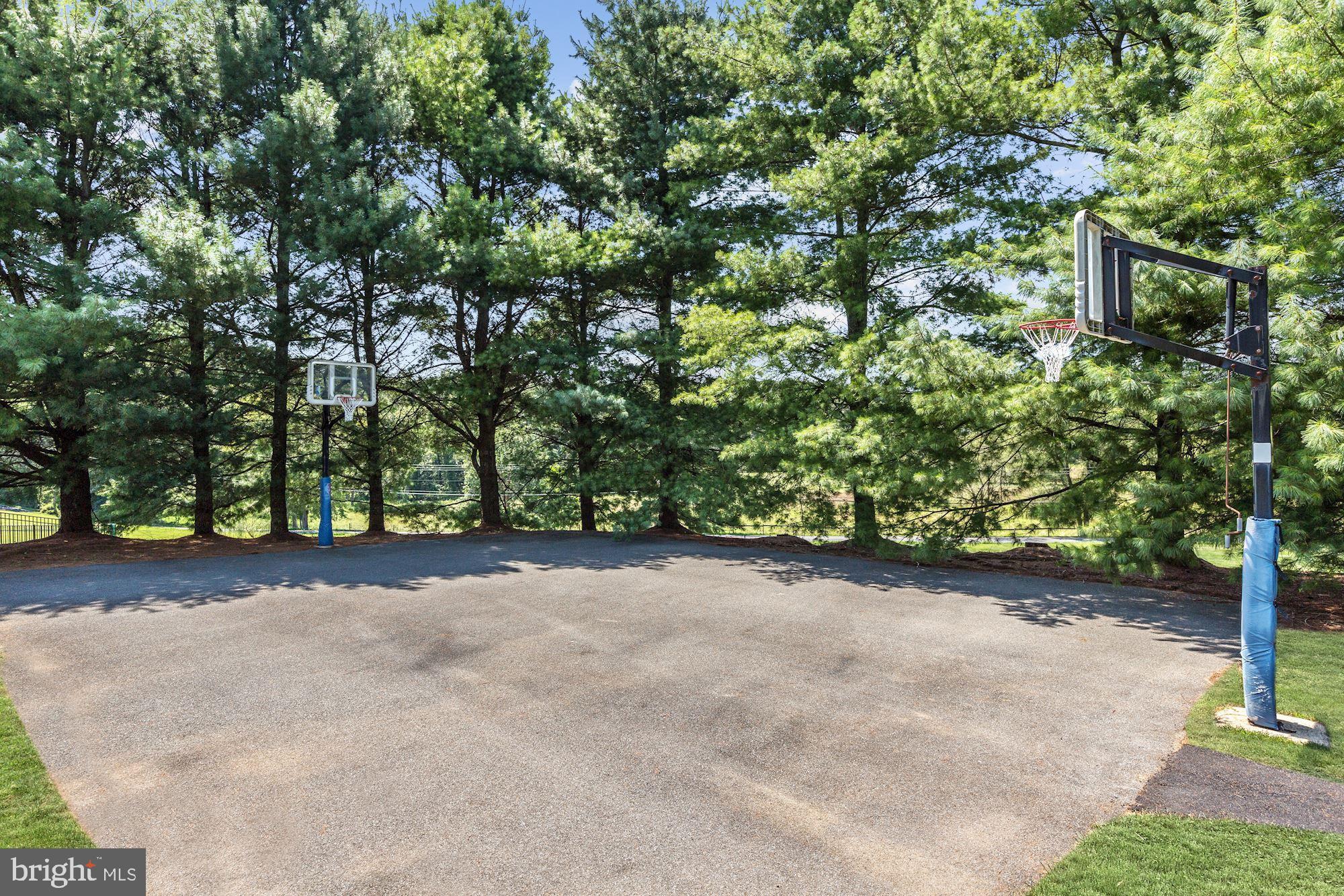 3617 Black Walnut Lane Glenwood, MD 21738 - Photo 65 of 83 Sport Court w/ Two BBall Hoops
