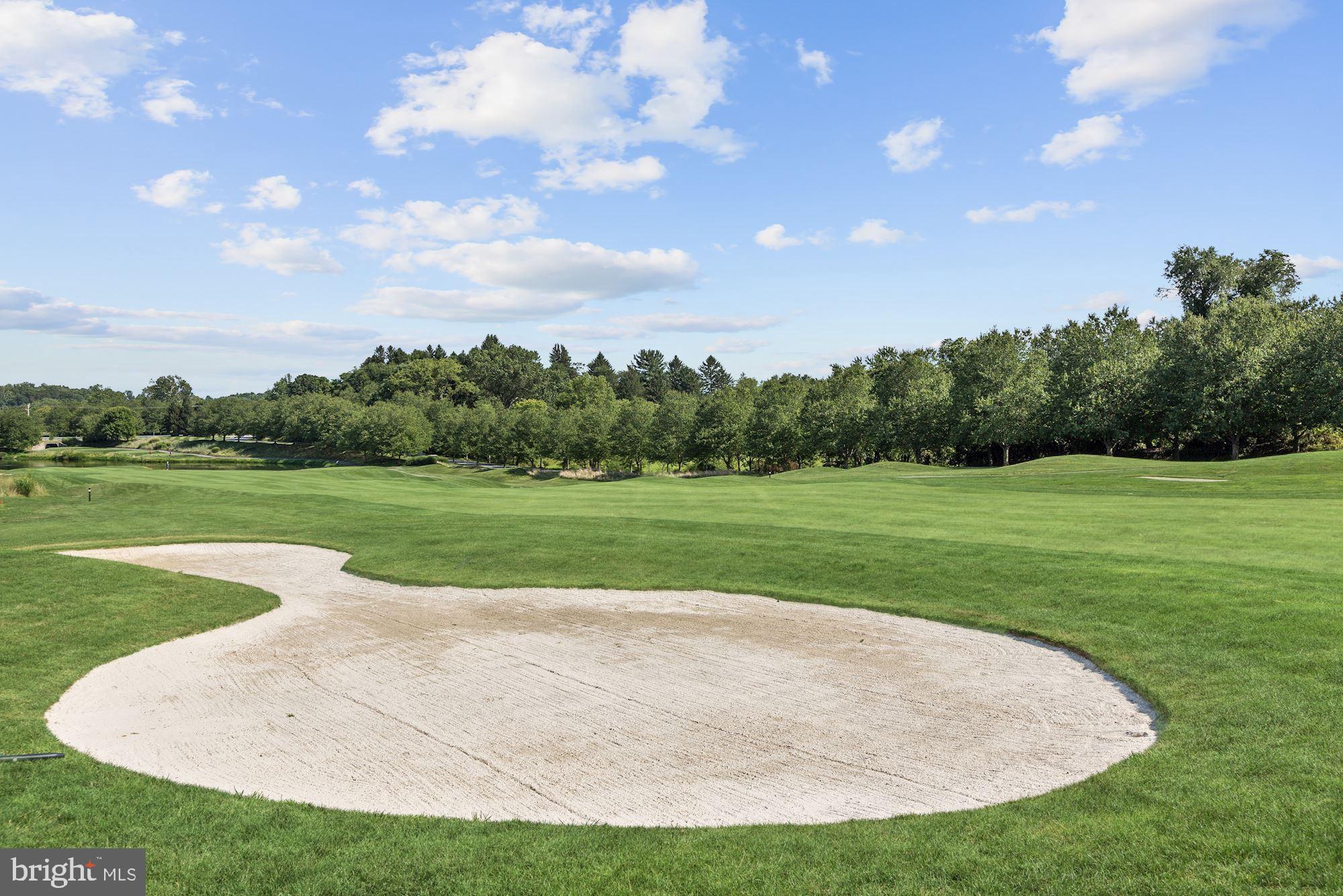 3617 Black Walnut Lane Glenwood, MD 21738 - Photo 77 of 83 Golf Course & Greens at Cattail