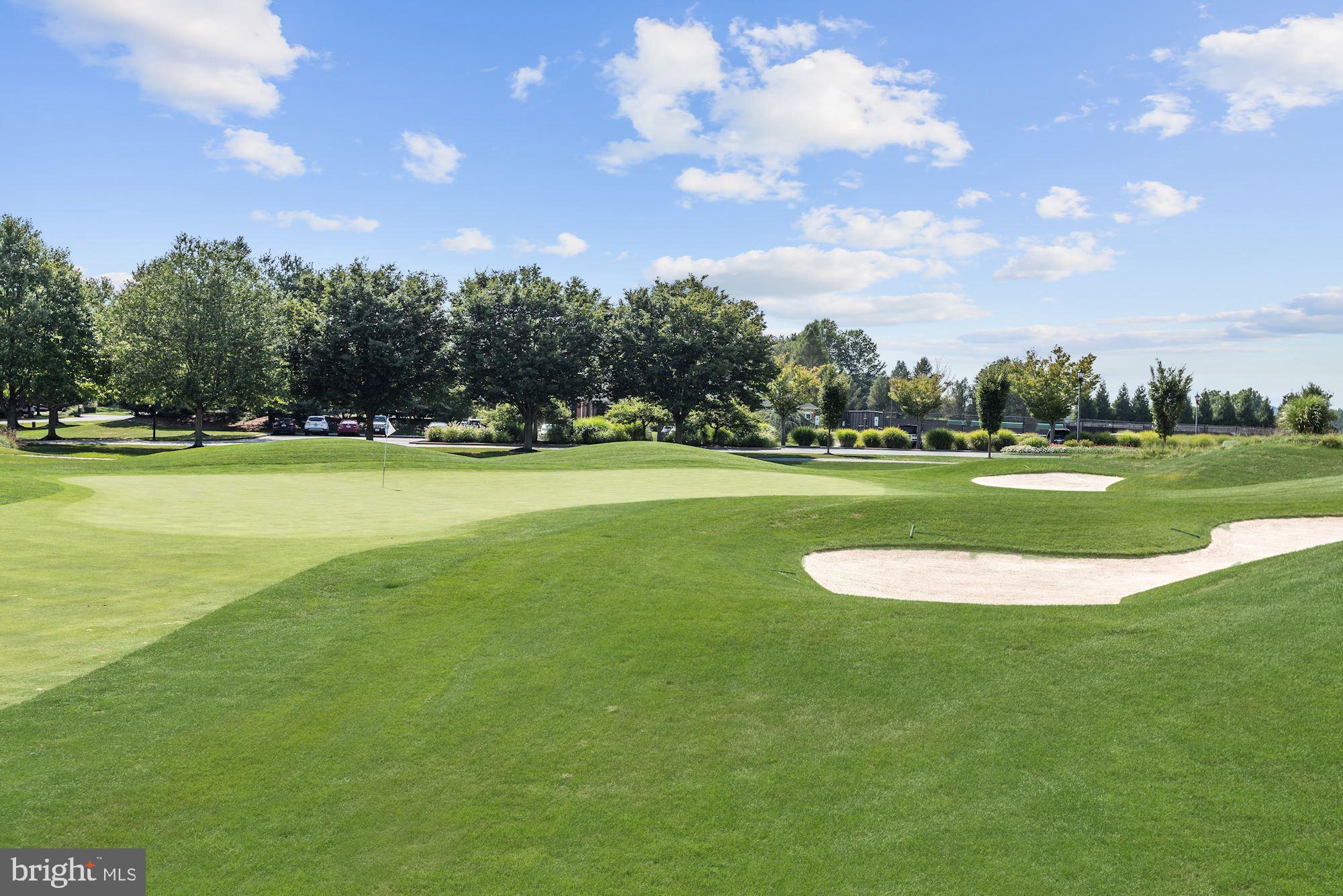 3617 Black Walnut Lane Glenwood, MD 21738 - Photo 78 of 83 Manicured Golf Course & Greens at Cattail