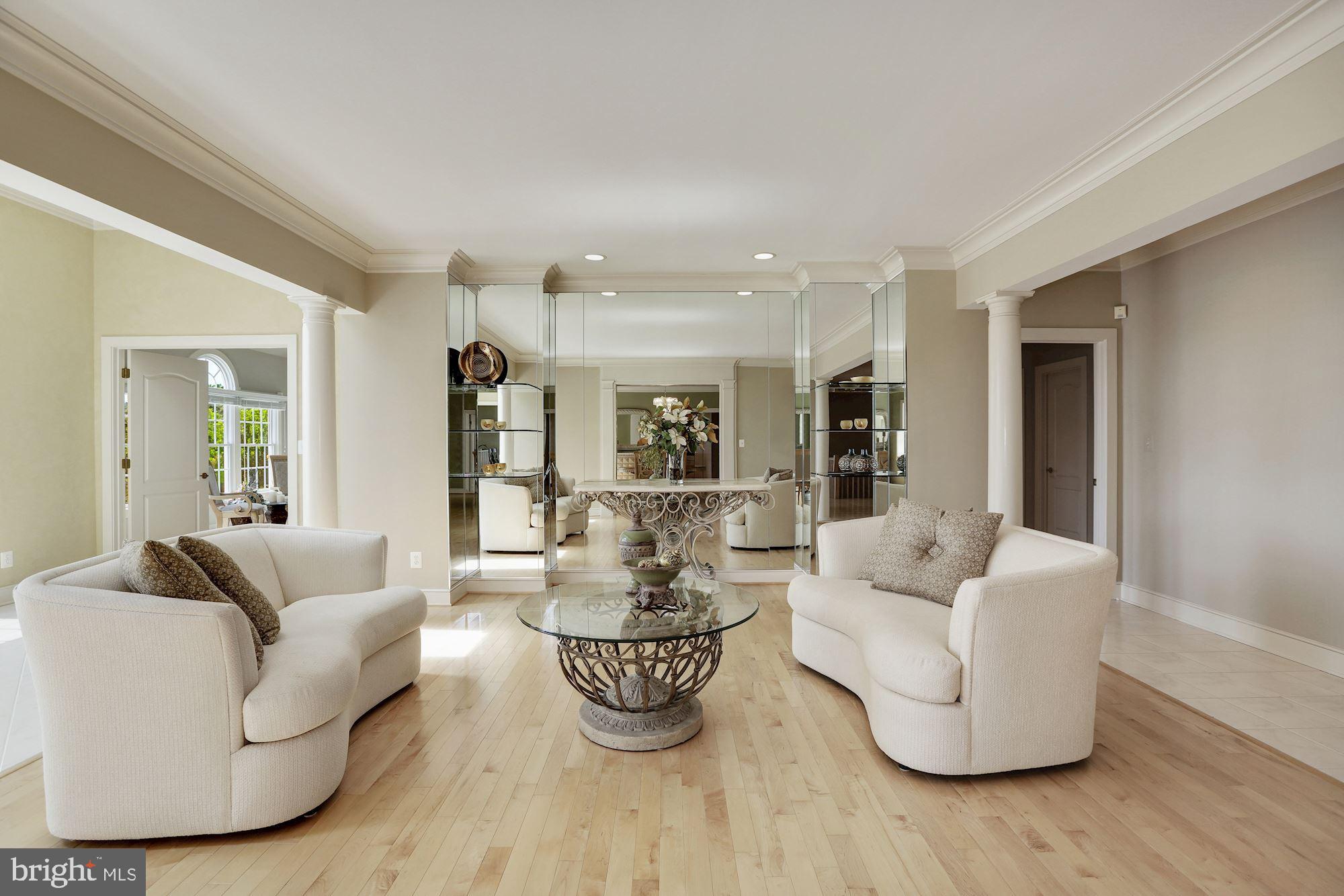 3617 Black Walnut Lane Glenwood, MD 21738 - Photo 10 of 83 Formal Living Rm & Glass Built-ins