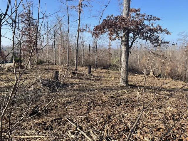a view of a backyard of the house