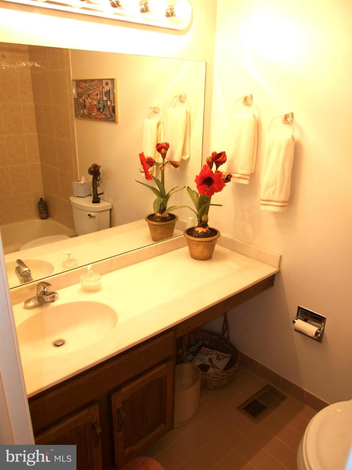 9320 Reach Road Potomac, MD 20854 - Photo 20 of 30 Bath