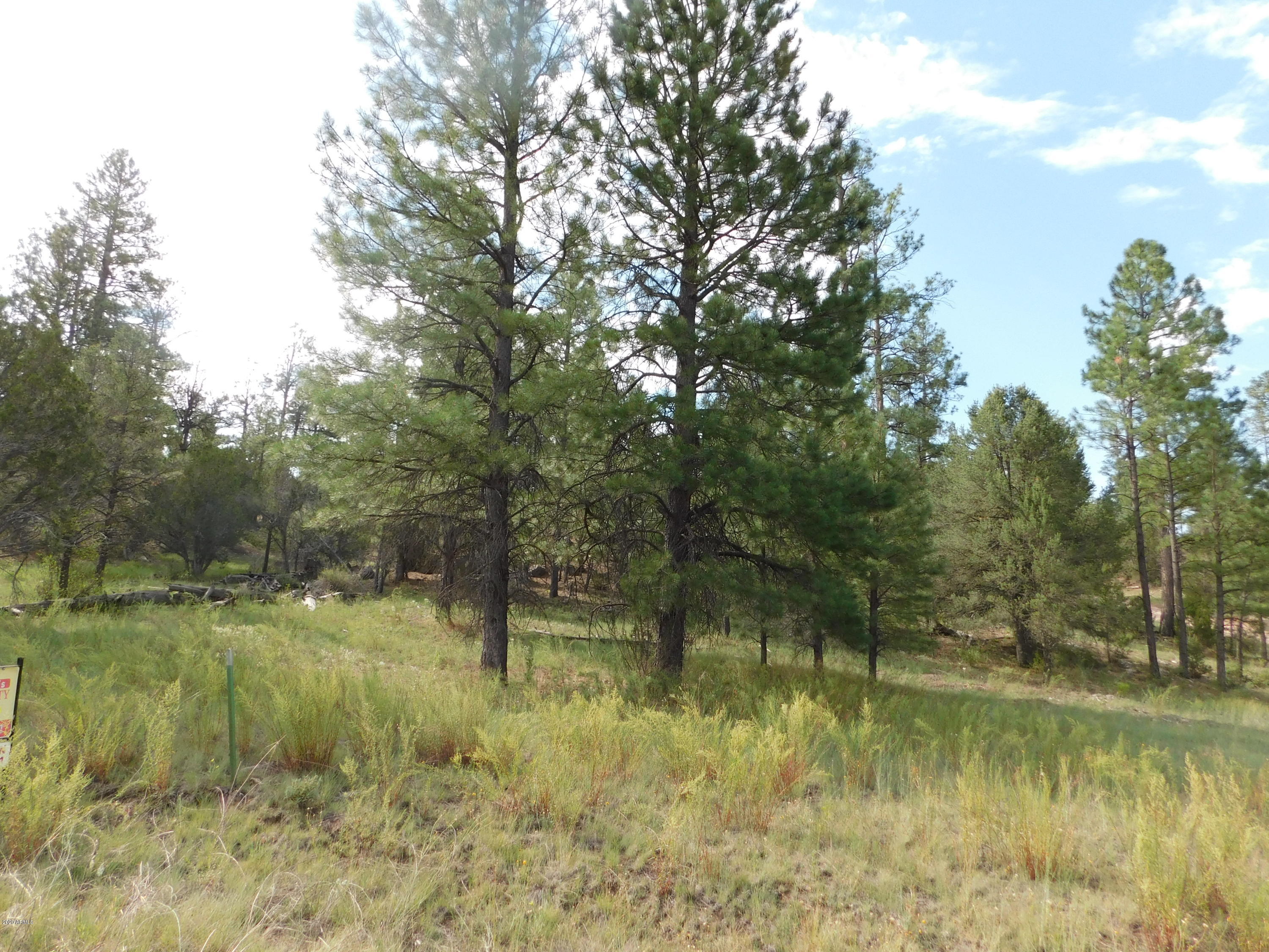 1919 Green Valley Road, Unit 18 Heber, AZ 85928 - Photo 1 of 4 DSCN0001