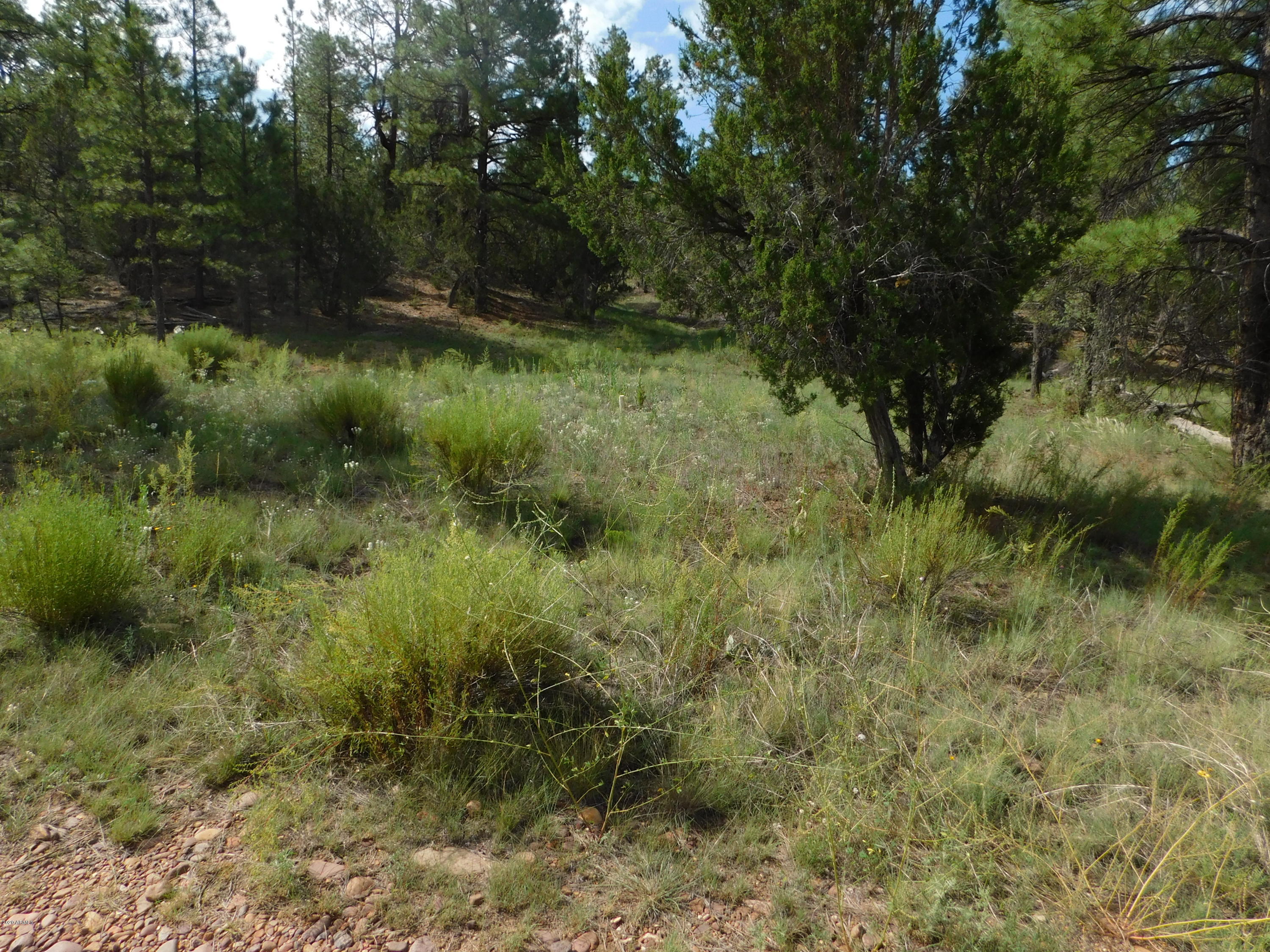 1919 Green Valley Road, Unit 18 Heber, AZ 85928 - Photo 4 of 4 DSCN0006
