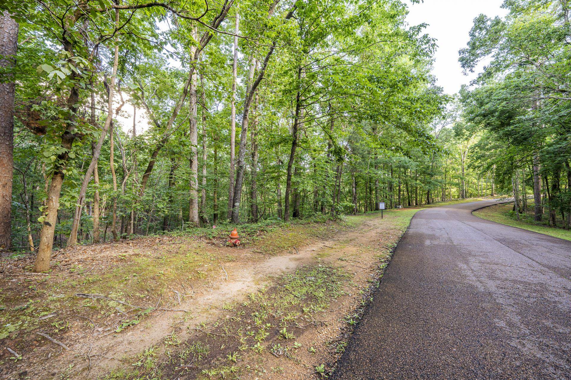 Lot 159 Anderson Hollow Road Savannah, TN 38372 - Photo 23 of 23