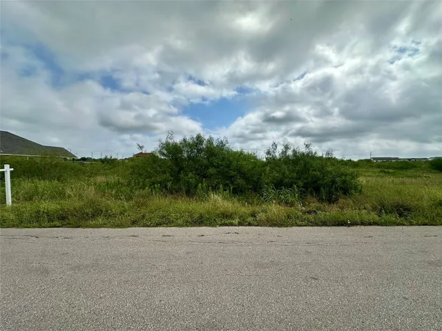 a view of a yard with a garden