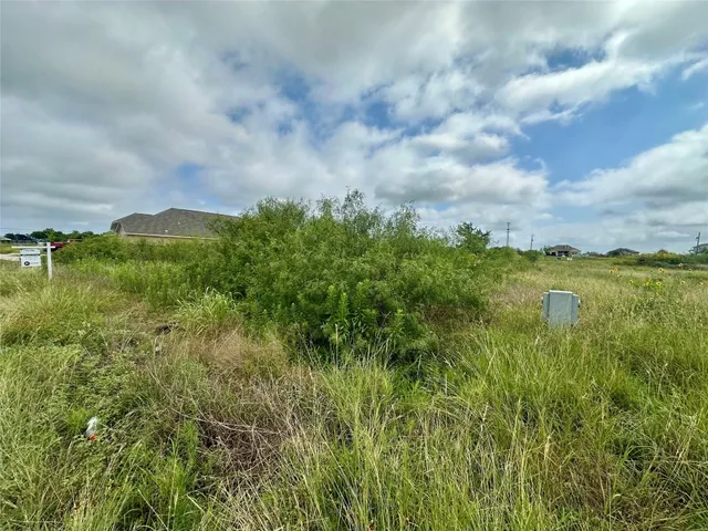 a view of a pathway both side of grassy field with shrub