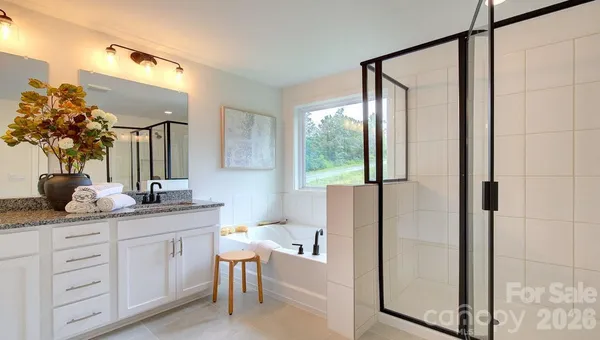 a bathroom with a granite countertop sink mirror and a shower