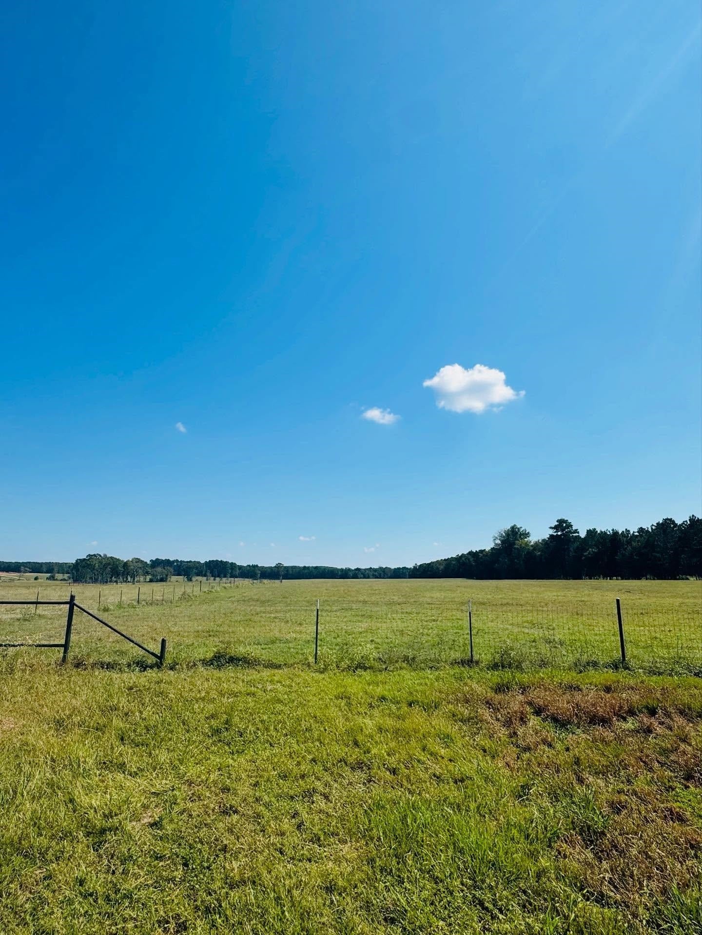 661 Adams Road Marshall, TX 75672 - Photo 6 of 19 Gallery Image 6
