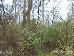 1195 Timber Spring Lane Salisbury, NC 28147 - Photo 1 of 1 a view of forest