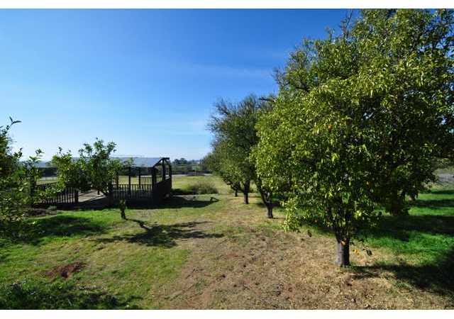 31105 Cole Grade Road Valley Center, CA 92082 - Photo 20 of 25 West facing... Gazebo and orange trees looking over 5 acre lot!!!