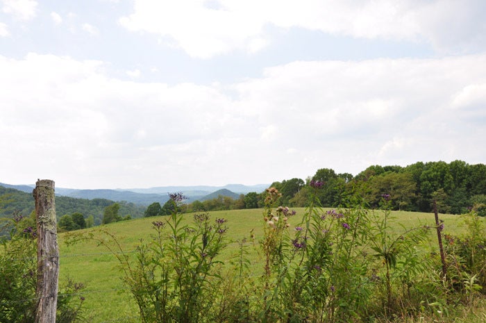 100 Grassy Meadows Road Meadow Bridge, WV 25976 - Photo 11 of 11 Long views of the Grassy Meadows valley