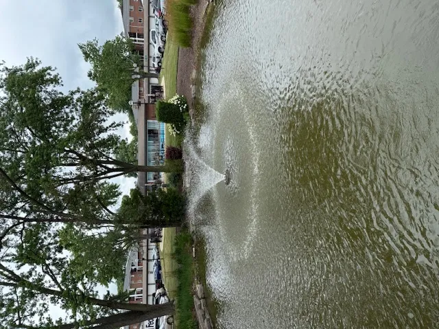 a view of a bathroom