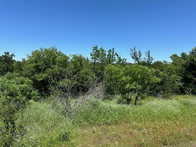 Lot 623 Caprock Court Graford, TX 76449 - Photo 2 of 19