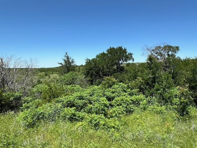 Lot 623 Caprock Court Graford, TX 76449 - Photo 4 of 19