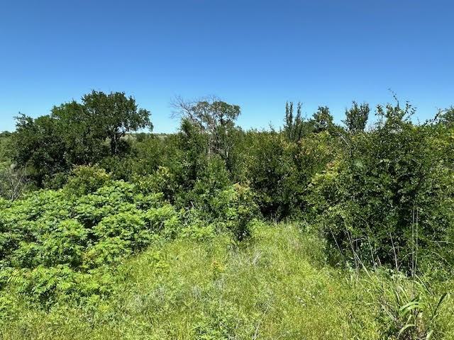Lot 623 Caprock Court Graford, TX 76449 - Photo 5 of 19