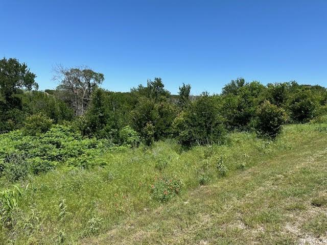 Lot 623 Caprock Court Graford, TX 76449 - Photo 7 of 19