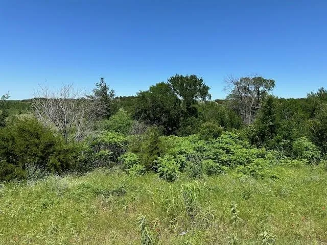 $45,000 | Lot 623 Caprock Court, Graford, TX 76449
