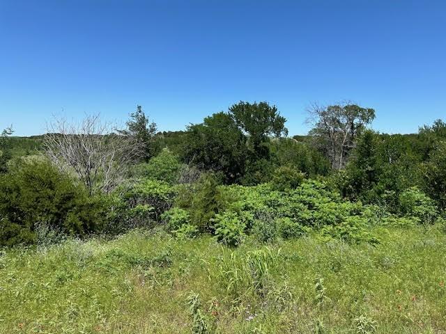 Lot 623 Caprock Court Graford, TX 76449 - Photo 8 of 19