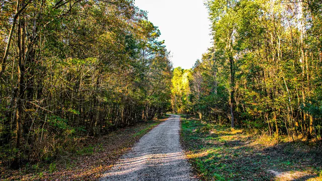 $1,200,000 | 240 Groomsville Road, Moncks Corner, SC 29461