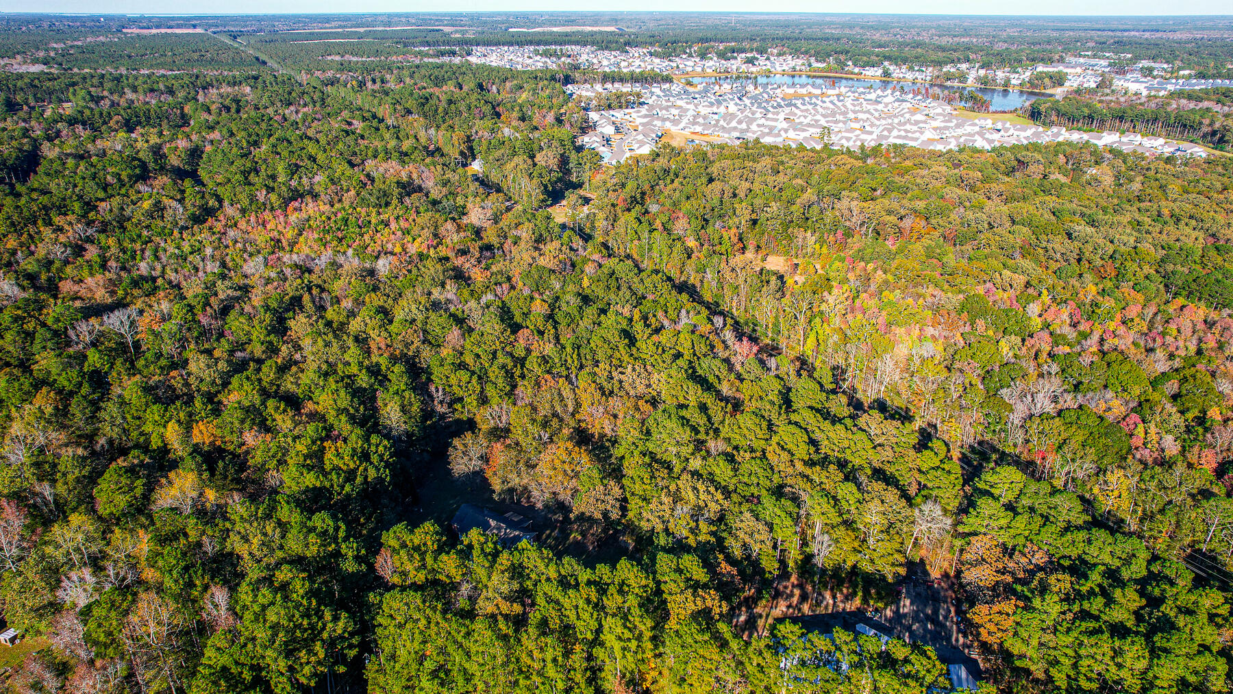 240 Groomsville Road Moncks Corner, SC 29461 - Photo 83 of 101 DV-99
