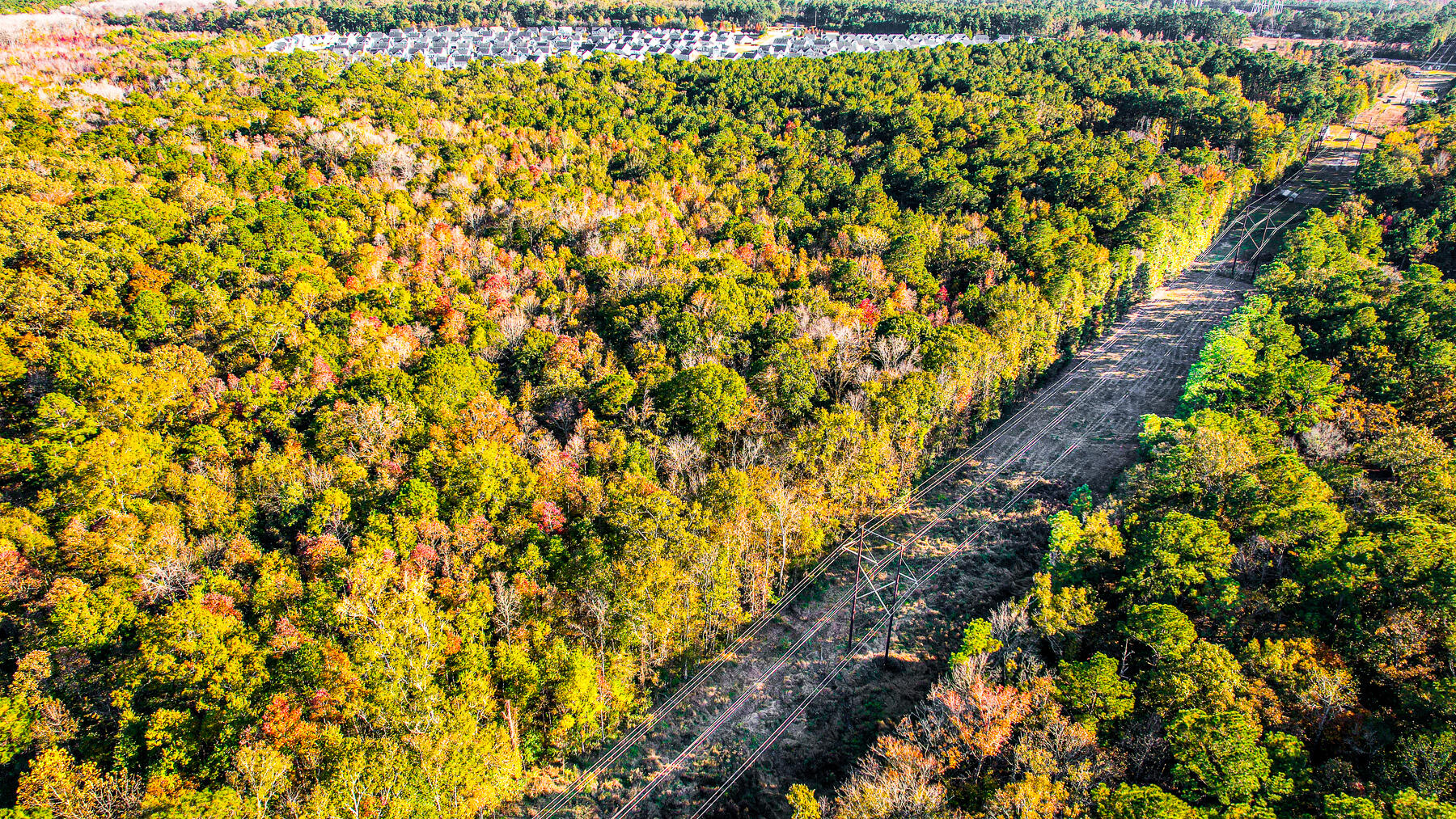 240 Groomsville Road Moncks Corner, SC 29461 - Photo 92 of 101 DV-105