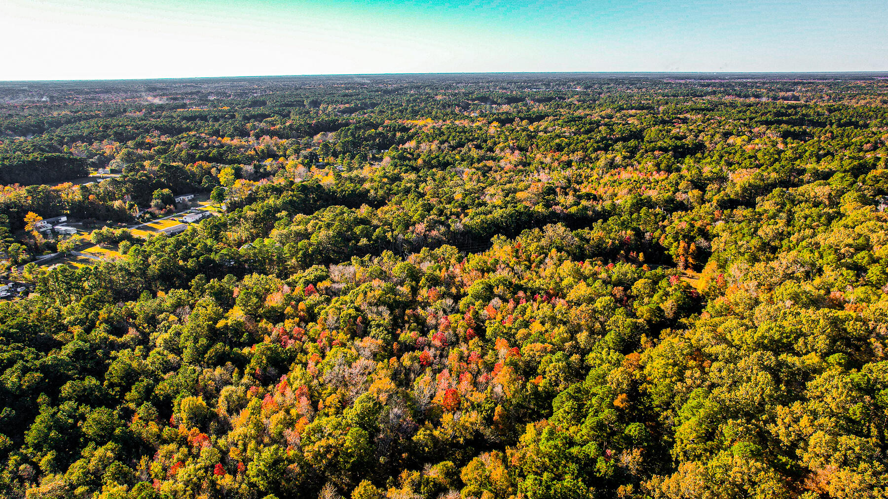 240 Groomsville Road Moncks Corner, SC 29461 - Photo 98 of 101 DV-111