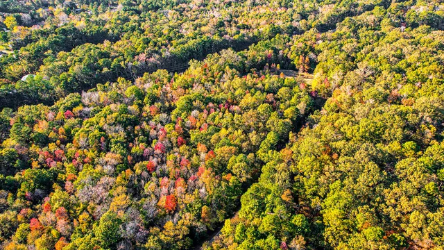 $1,200,000 | 240 Groomsville Road, Moncks Corner, SC 29461