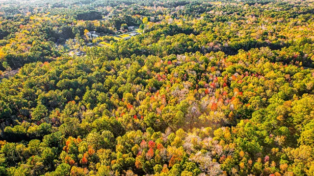 $1,200,000 | 240 Groomsville Road, Moncks Corner, SC 29461