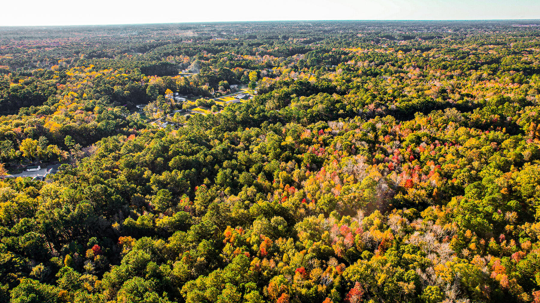 240 Groomsville Road Moncks Corner, SC 29461 - Photo 100 of 101 DV-113