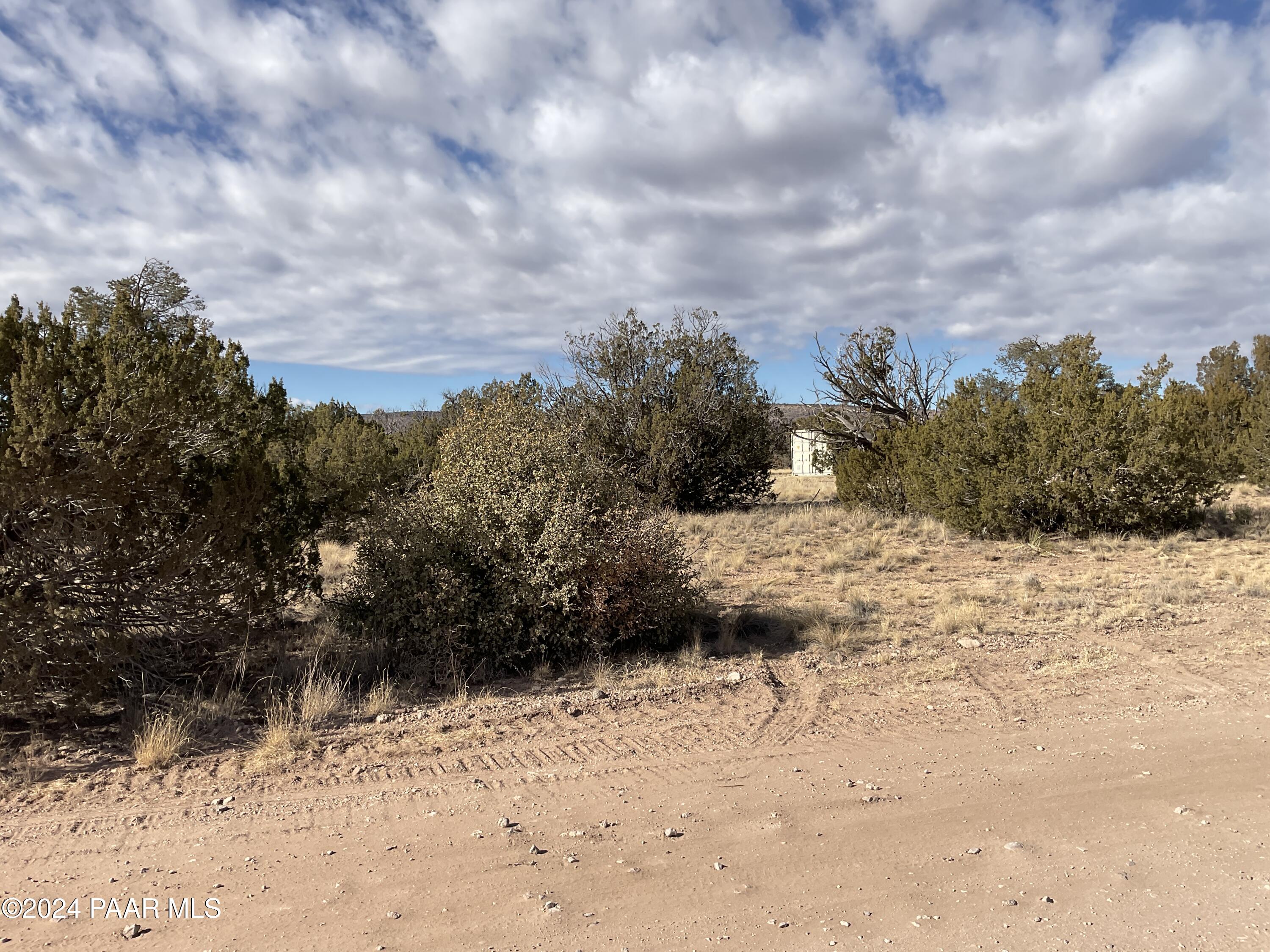 Lot 383 Fort Rock Road Seligman, AZ 86337 - Photo 14 of 16 a view of a yard covered in snow