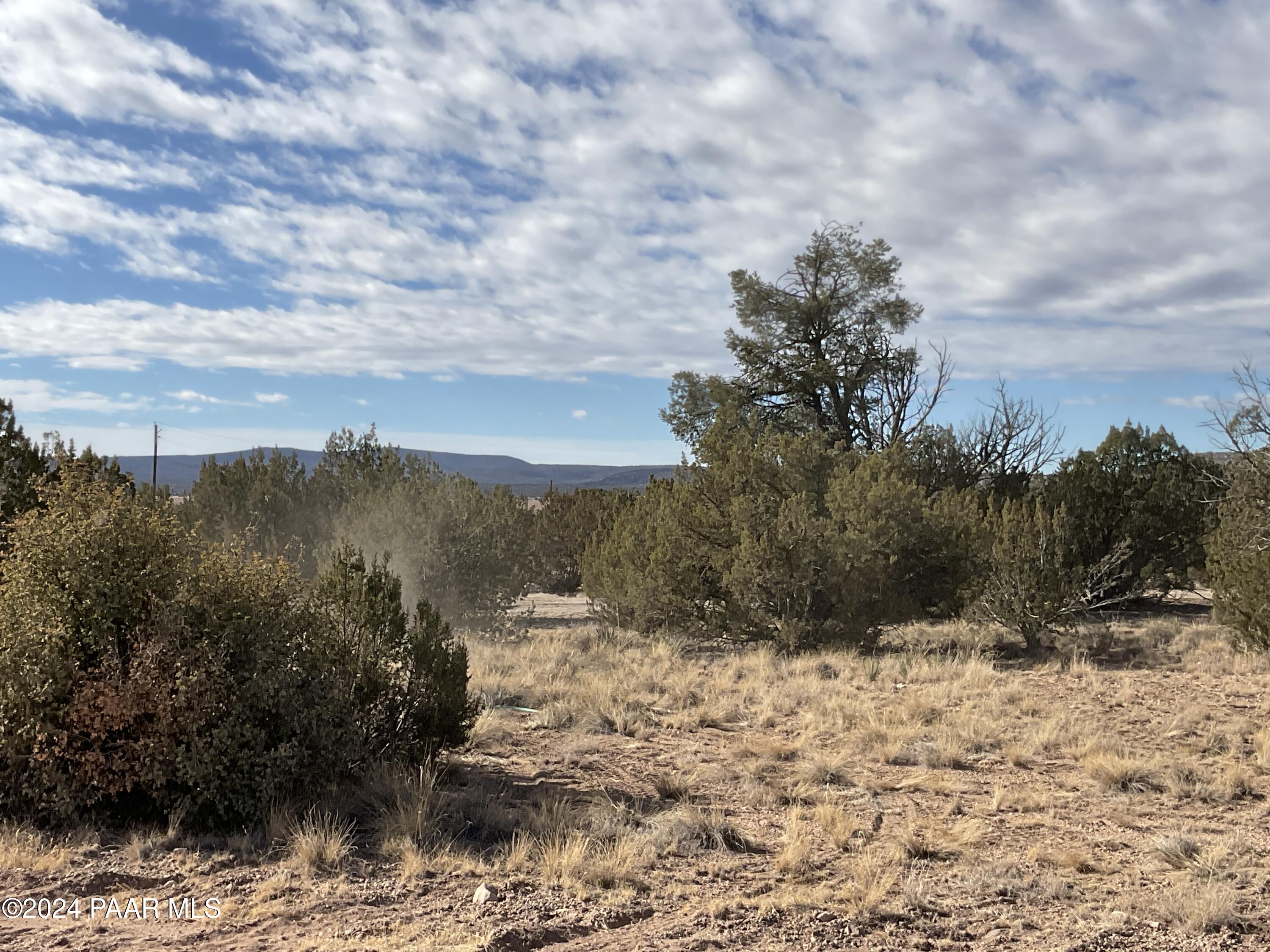 Lot 383 Fort Rock Road Seligman, AZ 86337 - Photo 16 of 16 a view of a yard