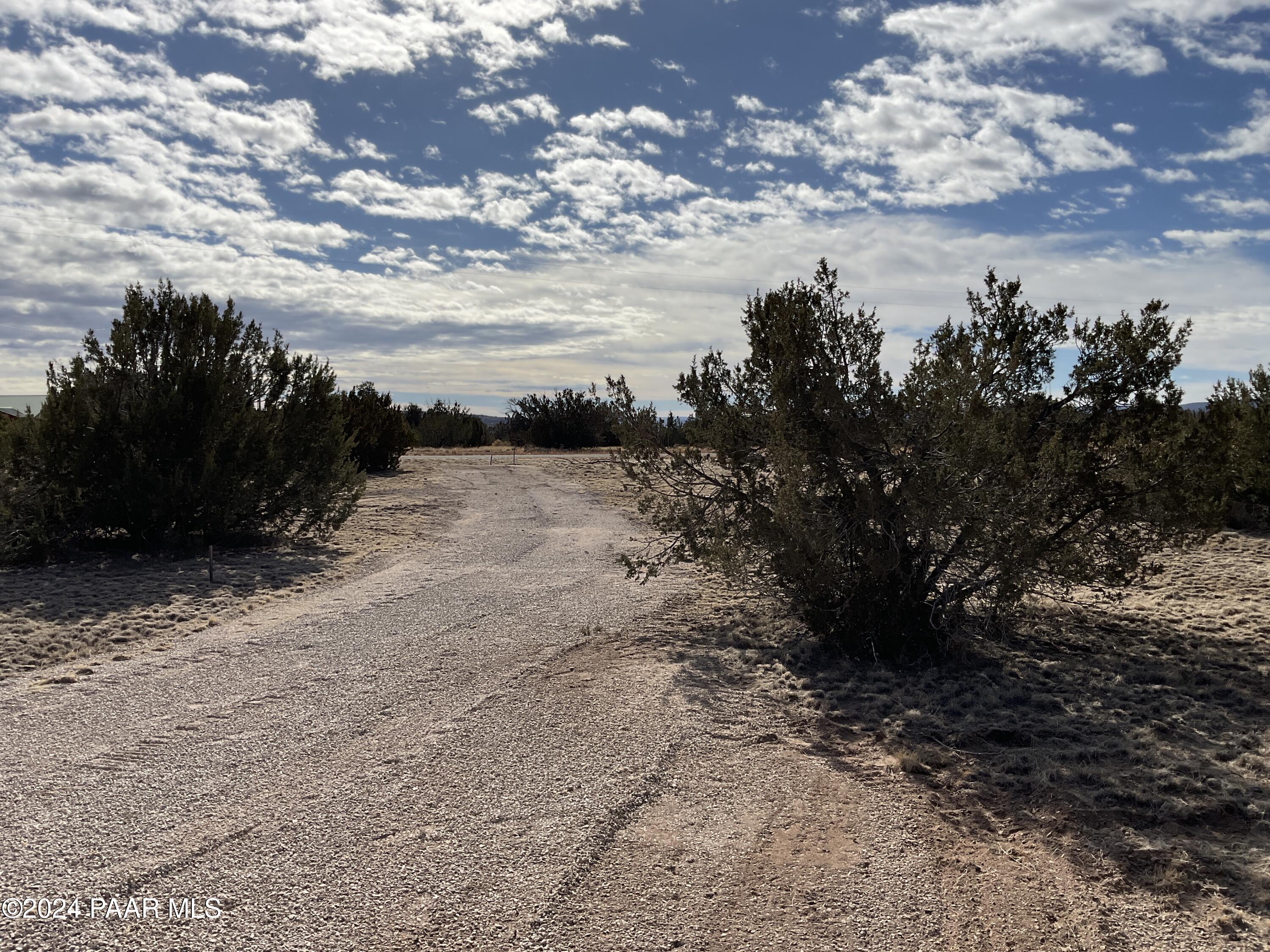 Lot 383 Fort Rock Road Seligman, AZ 86337 - Photo 10 of 16 a view of a dry yard with lots of trees