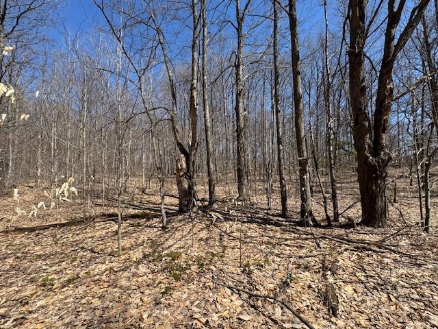 00 North Turnerville Road Lake City, MI 49651 - Photo 4 of 9