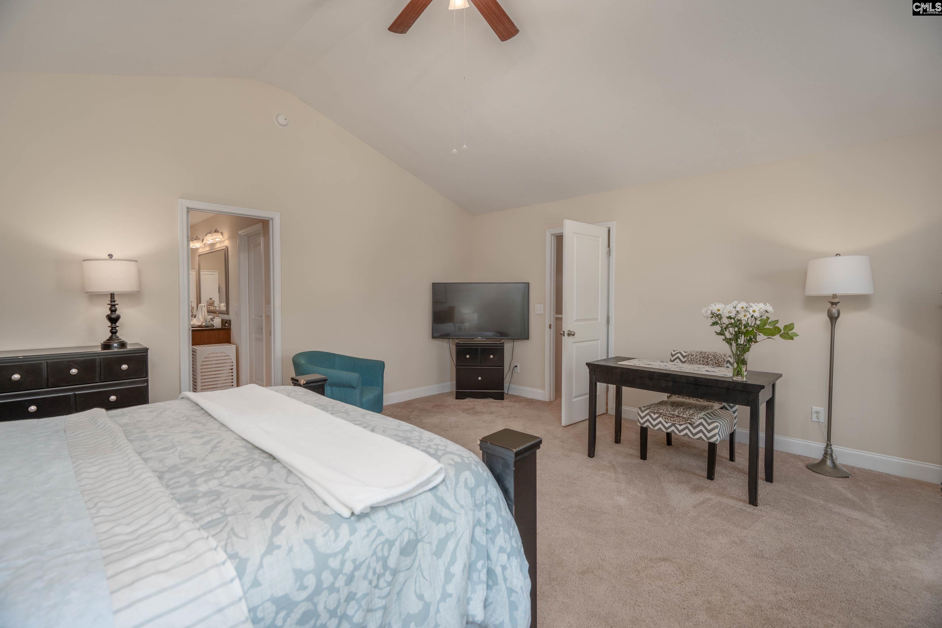 133 Palm Street Chapin, SC 29036 - Photo 29 of 37