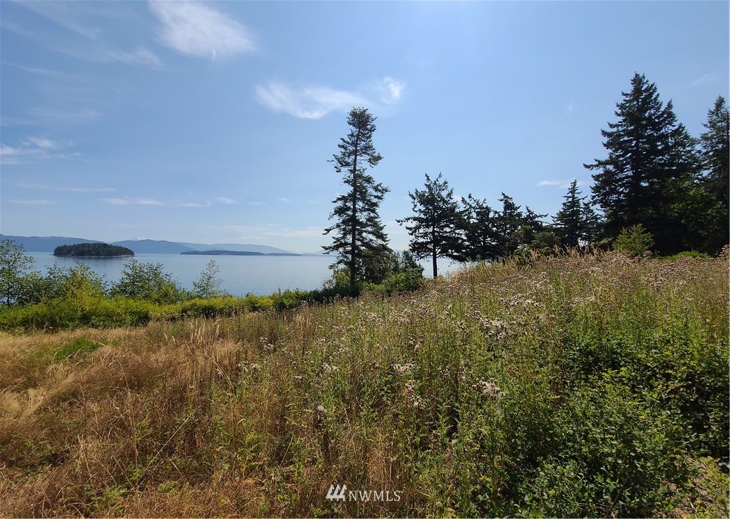 4805 Guemes Island Road Anacortes, WA 98221 - Photo 3 of 14 Gallery Image 3