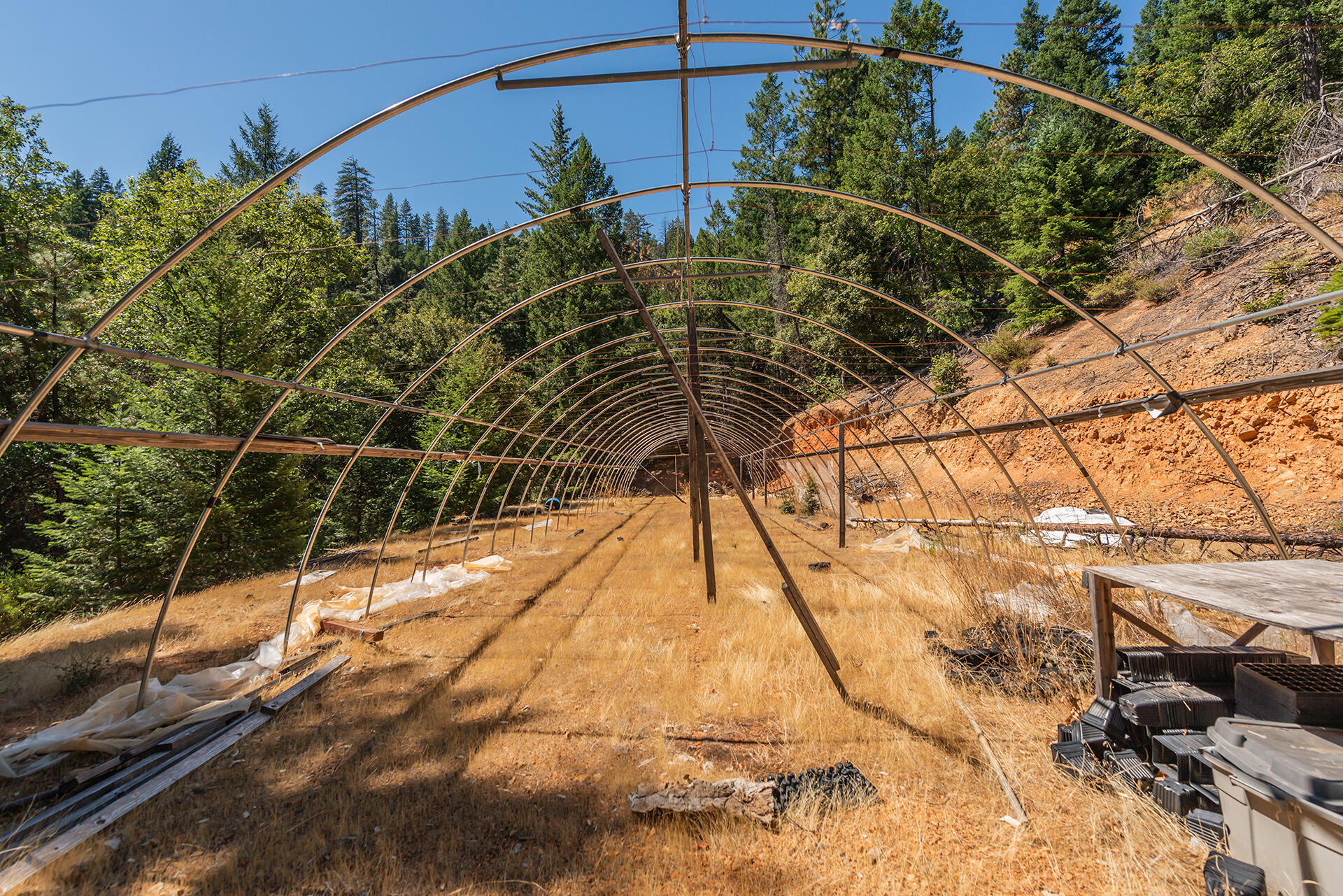 1511 Upper Moore Gulch Road Trinity Center, CA 96091 - Photo 58 of 62 DSC_6737