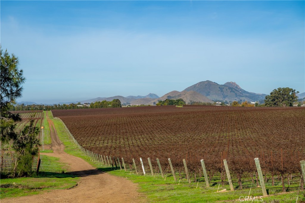 4910 Edna Road San Luis Obispo, CA 93401 - Photo 14 of 29