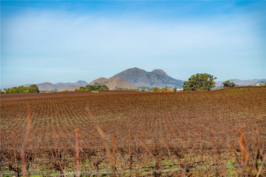 4910 Edna Road San Luis Obispo, CA 93401 - Photo 15 of 29