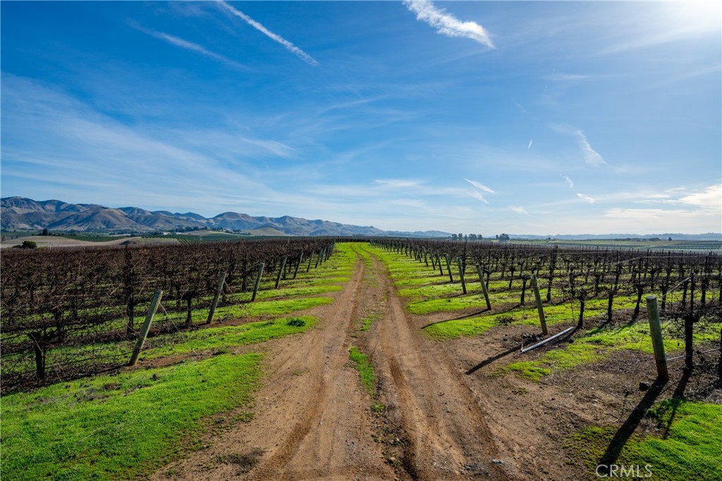 4910 Edna Road San Luis Obispo, CA 93401 - Photo 19 of 29