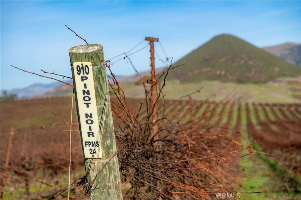 4910 Edna Road San Luis Obispo, CA 93401 - Photo 8 of 29