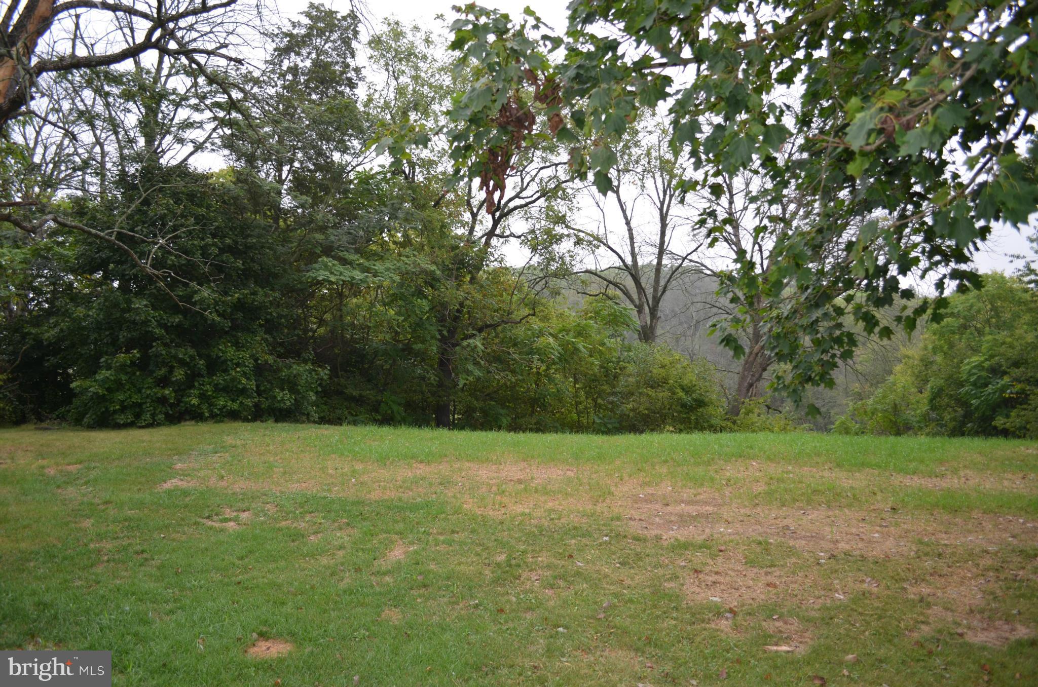 11747 Cedar Ridge Road Williamsport, MD 21795 - Photo 1 of 1 a view of a field with trees in background
