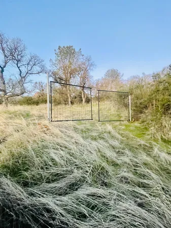 a view of a yard covered in snow