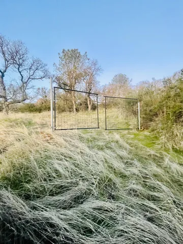 a view of a yard covered in snow