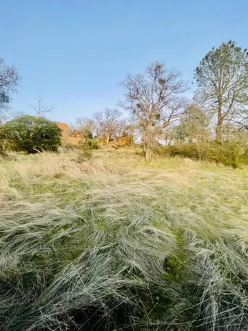 a view of lawn chairs and tree