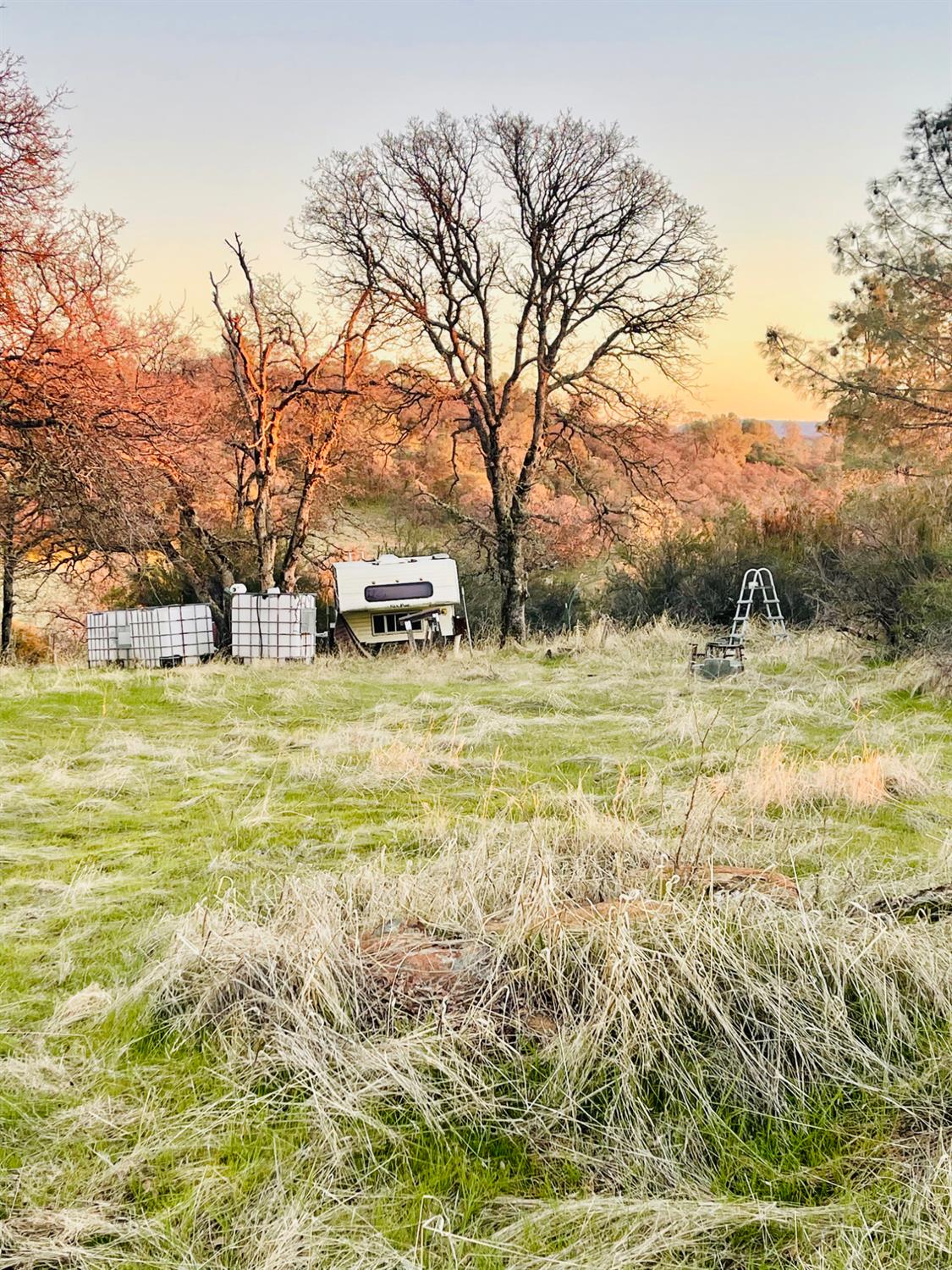 0 Goodell Road Valley Springs, CA 95252 - Photo 7 of 9 a view of lawn chairs and tree