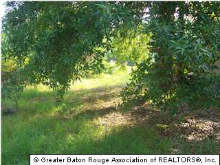33850 Kiss Road Walker, LA 70785 - Photo 1 of 3 Gallery Image 1
